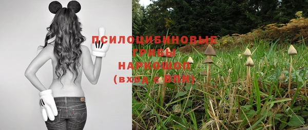 jwh Богородицк
