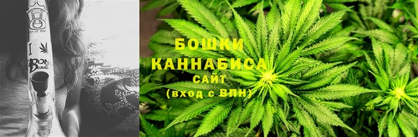 PSILOCYBIN Богородск