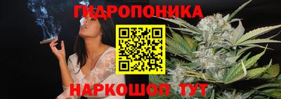 mdpv Обнинск