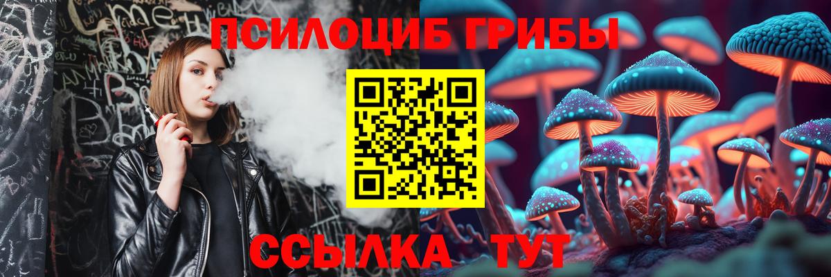 Улан-Удэ  Псилоцибиновые грибы Cubensis  Псилоцибиновые грибы Psilocybe  Вход с VPN 